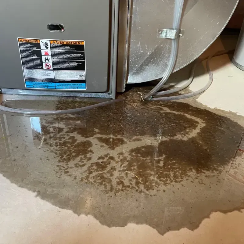 Appliance Leak Cleanup in Belton, MO